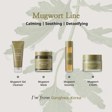 I’m From Mugwort Cream (50g) | Soothing & Calming Moisturizer