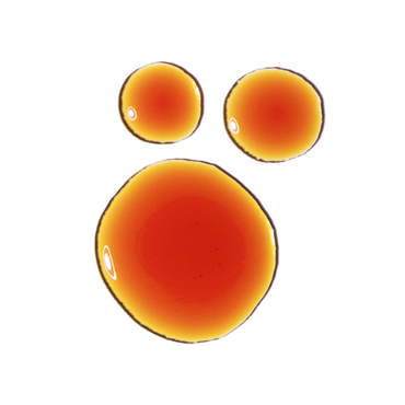 The Ordinary Pycnogenol 5% – Potent Antioxidant Serum for Skin Protection