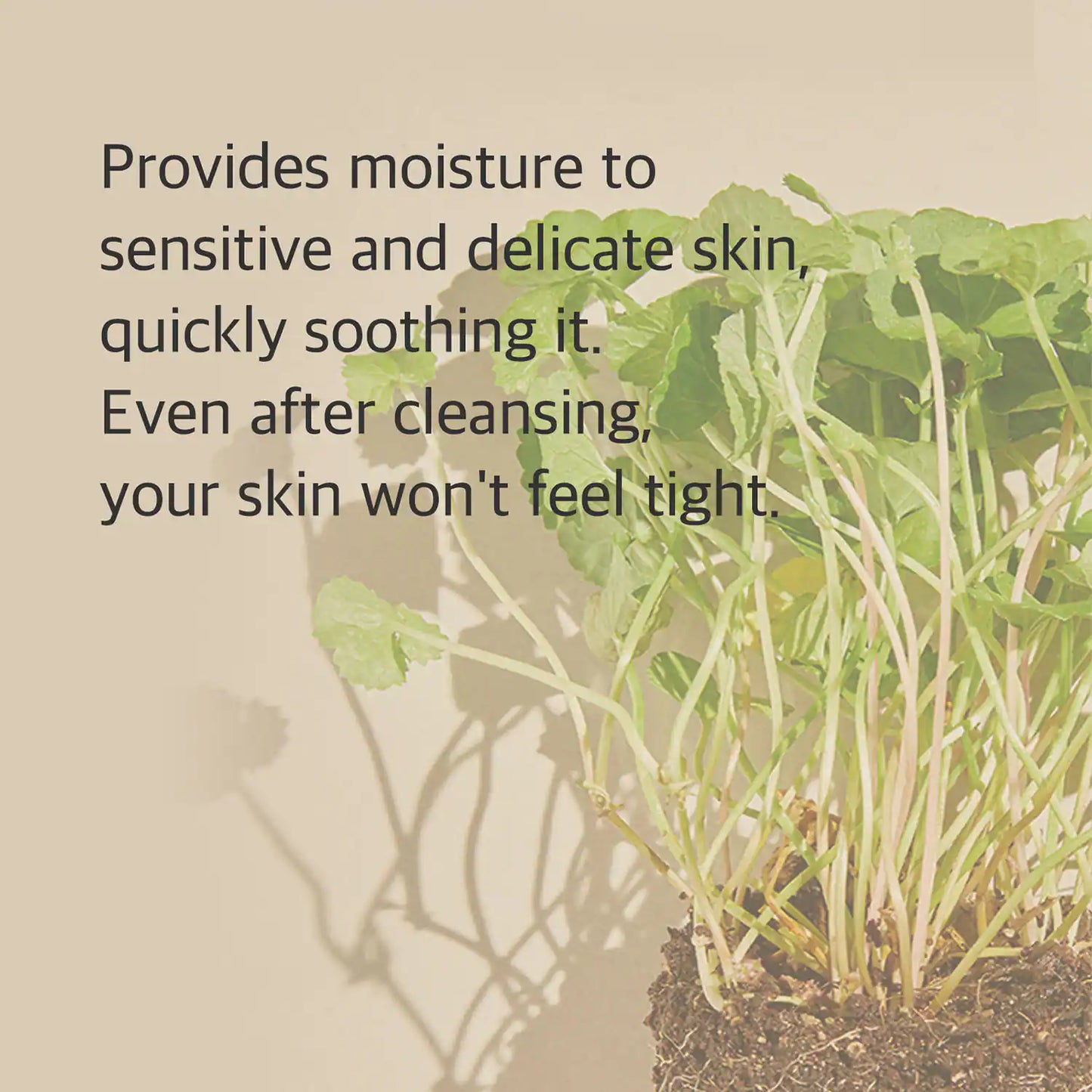 Mixsoon Centella Cleansing Foam (150 ml)