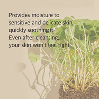 Mixsoon Centella Cleansing Foam (150 ml)