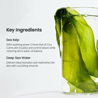 Biodance Refreshing Sea Kelp Real Deep Mask (4 Sheets) | Soothing Hydration Set
