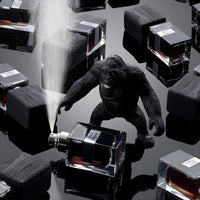 Nasomatto Black Afgano Extrait de Parfum – 30 ml | Deep Oriental Woody-Resinous Fragrance for Unisex