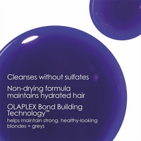 Olaplex N° 4P Purple Shampoo (250 ml)