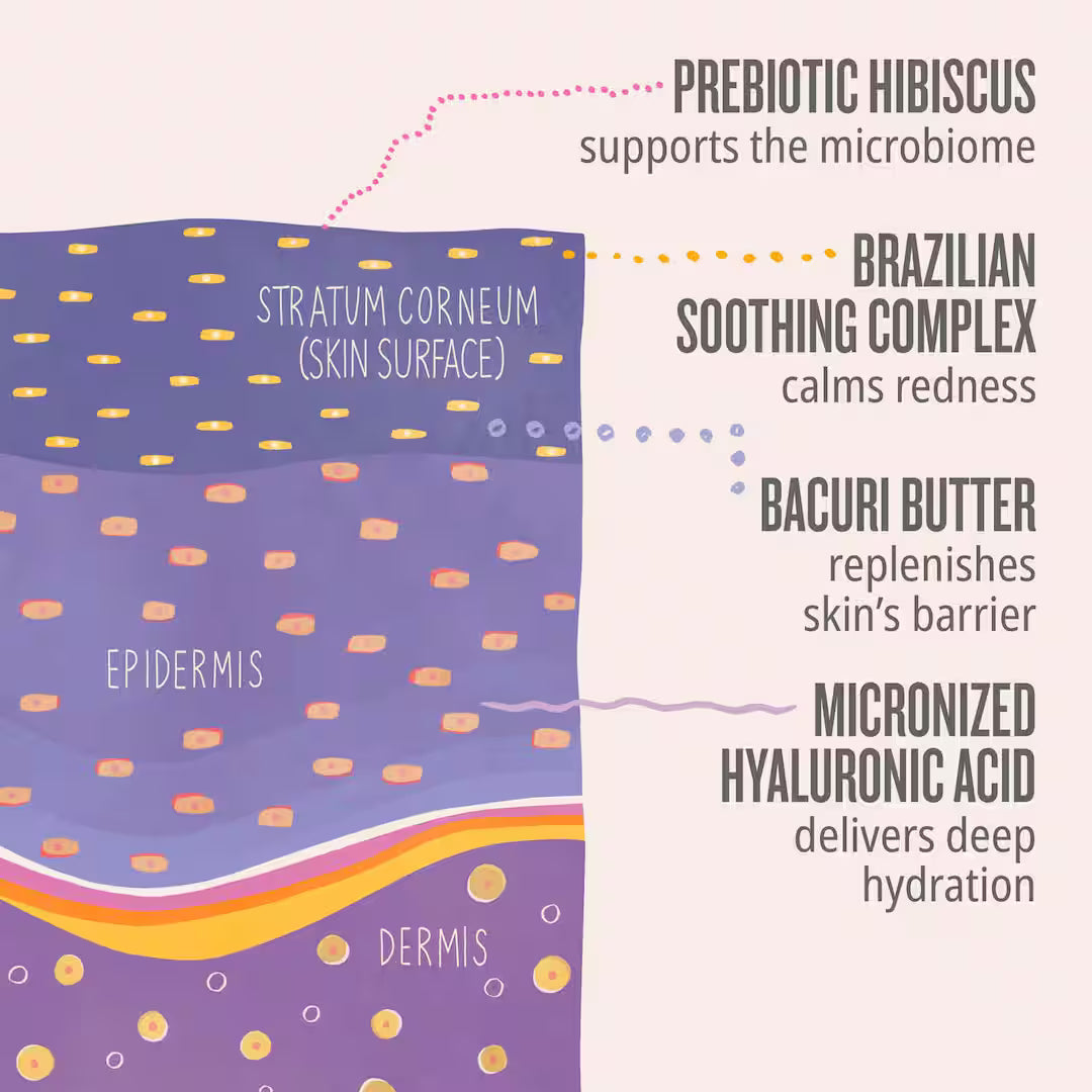 Sol de Janeiro Delicia Drench Body Butter (240 ml)