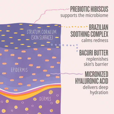 Sol de Janeiro Delicia Drench Body Butter (240 ml)