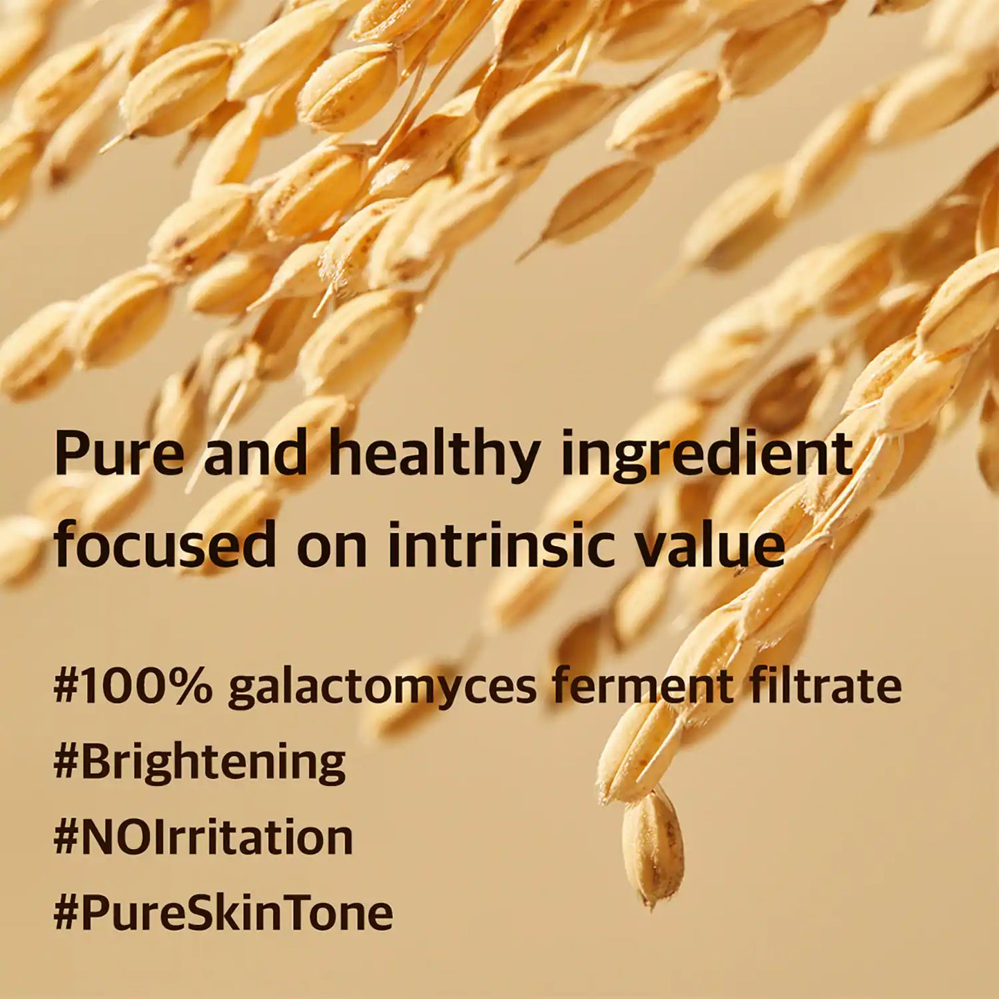 Mixsoon Galactomyces Ferment Essence (100 ml)