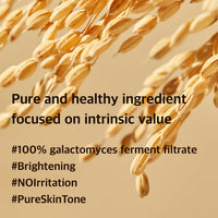 Mixsoon Galactomyces Ferment Essence (100 ml)