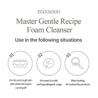 Mixsoon Master Gentle Recipe Foam Cleanser (150 ml)