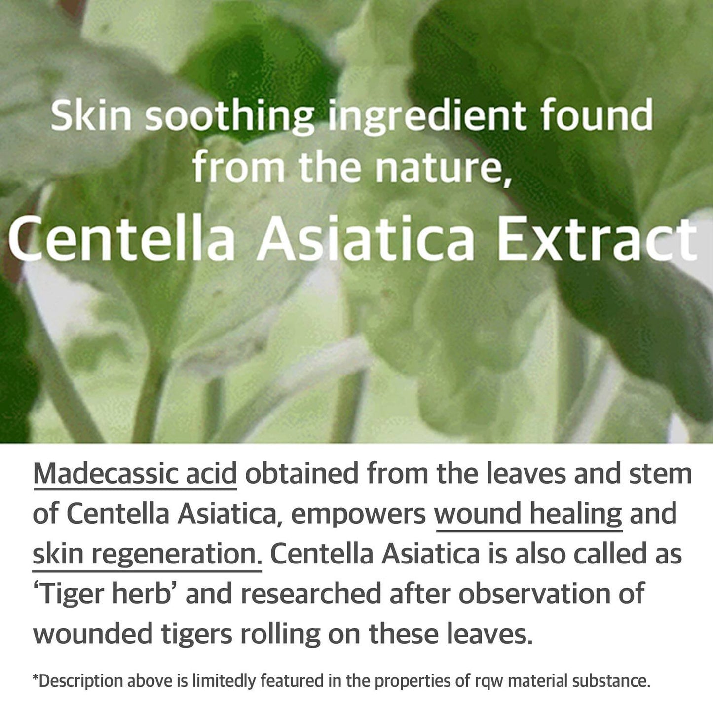 Mixsoon Soondy Centella Asiatica Essence (50 ml)