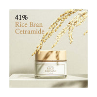 I’m From Rice Cream (50g) | Brightening & Hydrating Face Moisturizer