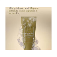 I’m From Mugwort Gel Cleanser (150ml) | Soothing & Gentle Daily Face Wash